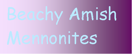 Text Box:  Beachy Amish
 Mennonites