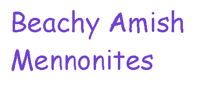 Text Box:  Beachy Amish   Mennonites