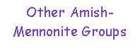 Text Box: Other Amish- Mennonite Groups